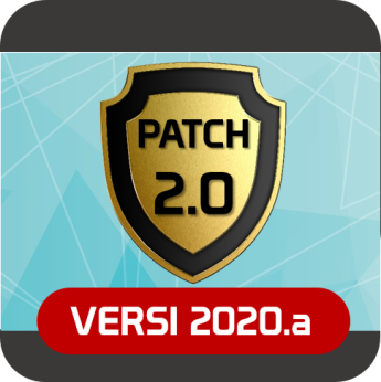 2020a_patch_2